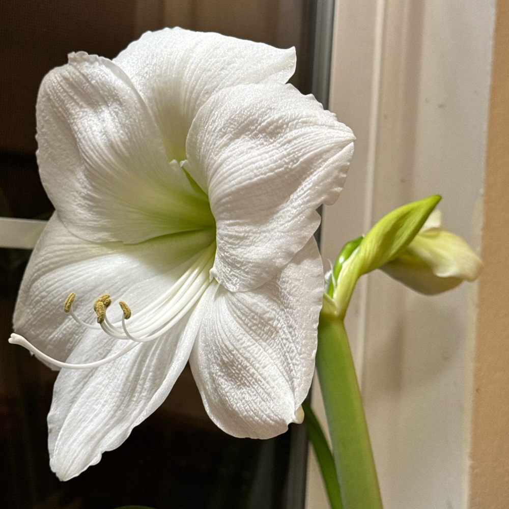 Meet your Posher, Leer